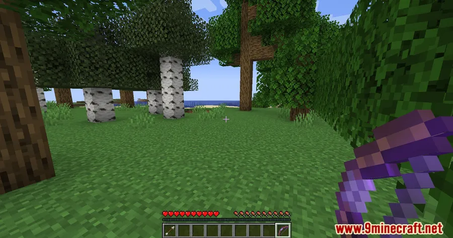 Infinity And Mending Mod screenshot 7