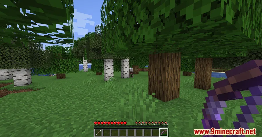 Infinity And Mending Mod screenshot 8