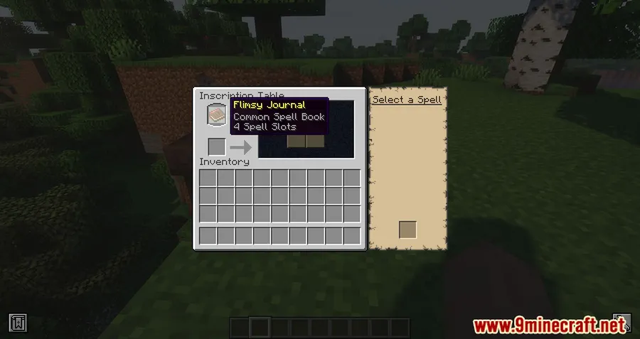 Iron's Spells 'n Spellbooks Mod screenshot 10 showing mod in action
