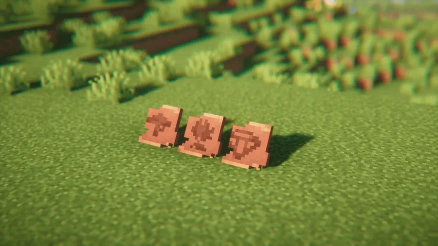 Items Displayed Mod screenshot 4 showing mod in action