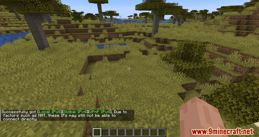 LAN World Plug-N-Play Mod screenshot 5