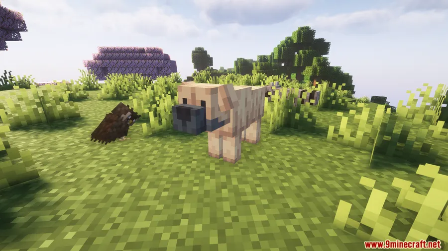 Let's Do WilderNature Mod screenshot 7 showing mod in action