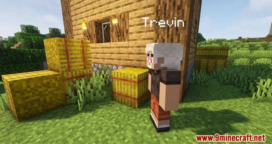 Minecraft Comes Alive Reborn Mod screenshot 4 showing mod in action