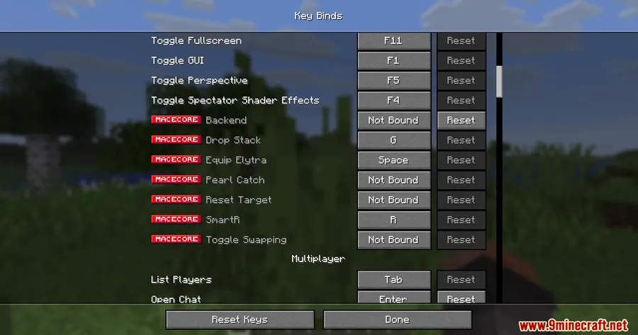 MaceCore Client Mod screenshot 3 showing mod in action