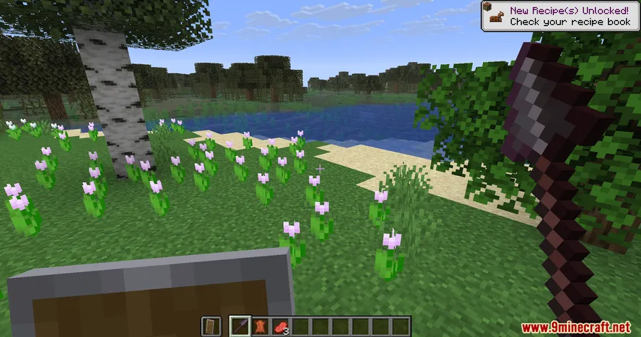 MaceCore Client Mod screenshot 8 showing mod in action