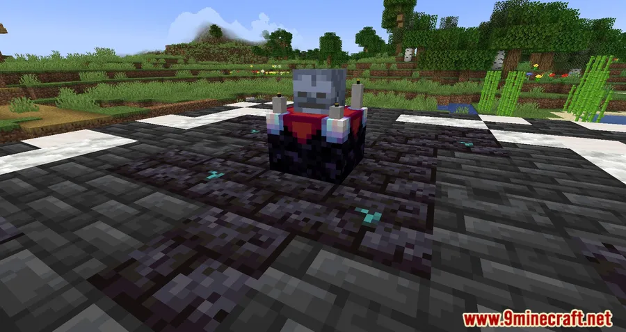 Marium's Soulslike Weaponry Mod screenshot 4 showing mod in action