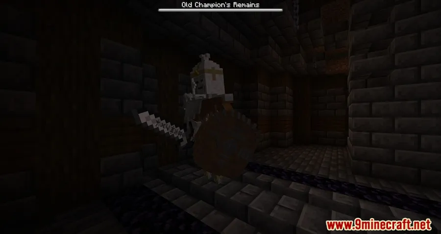 Marium's Soulslike Weaponry Mod screenshot 17 showing mod in action