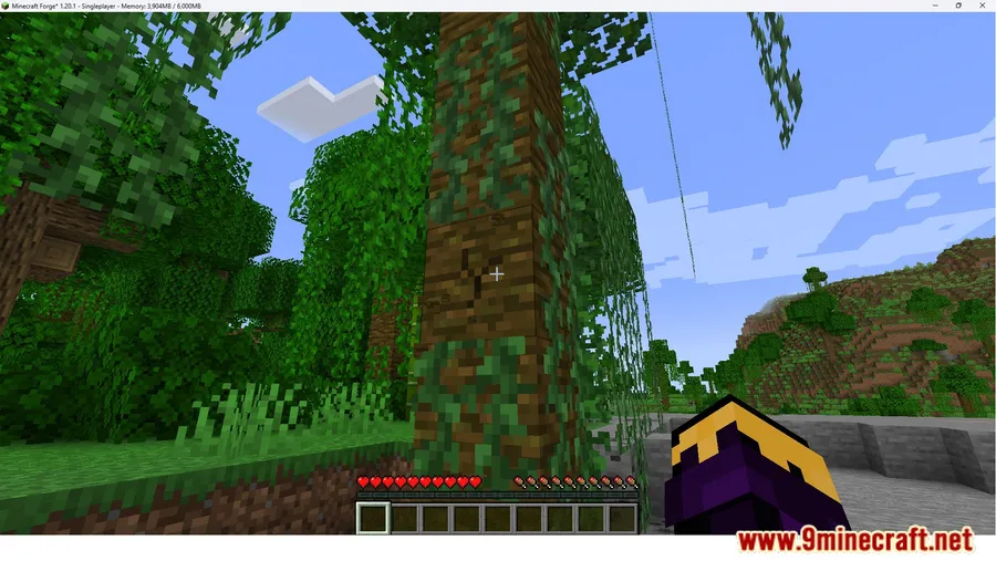 Memory Usage Title Mod screenshot 7 showing mod in action