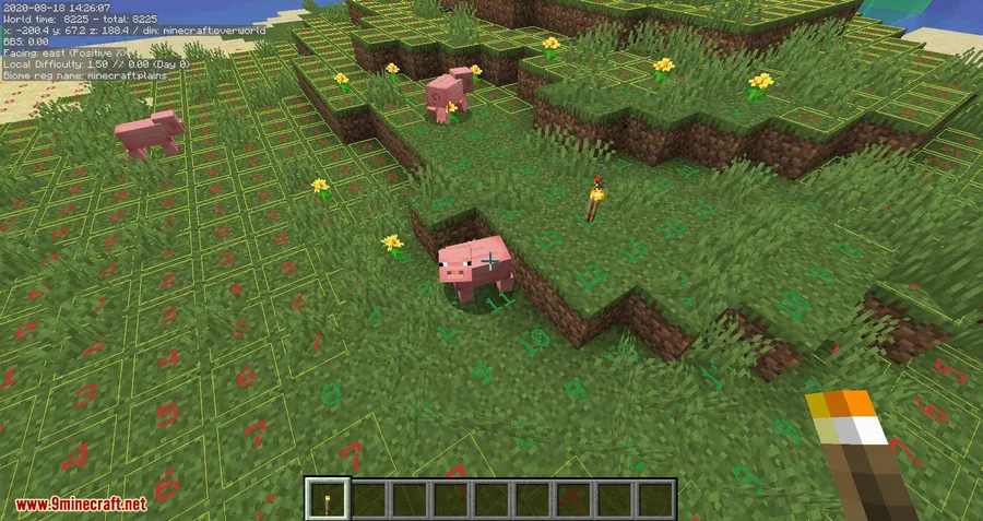 MiniHUD mod for minecraft 08