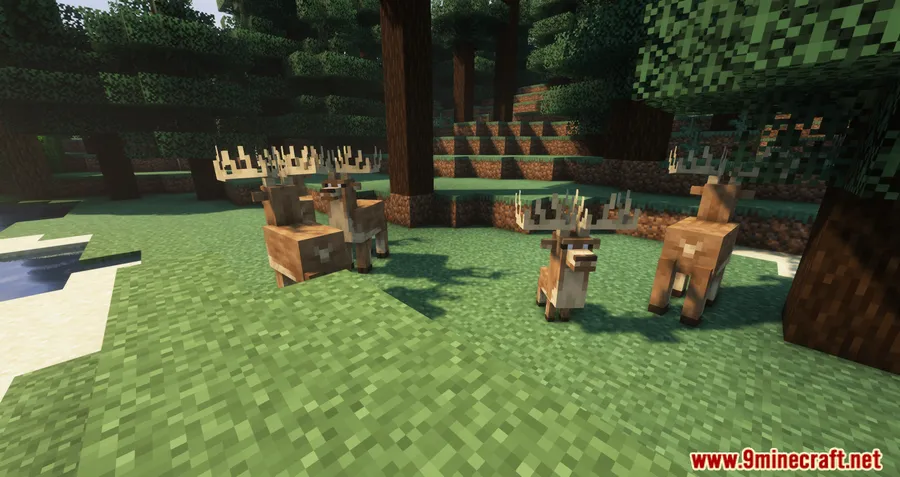 Naturalist Mod screenshot 7