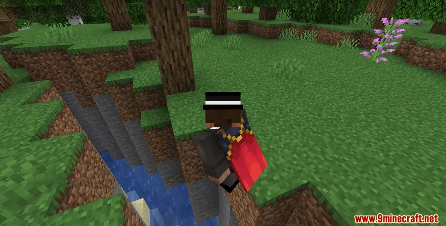 No Double Sneak Mod screenshot 4