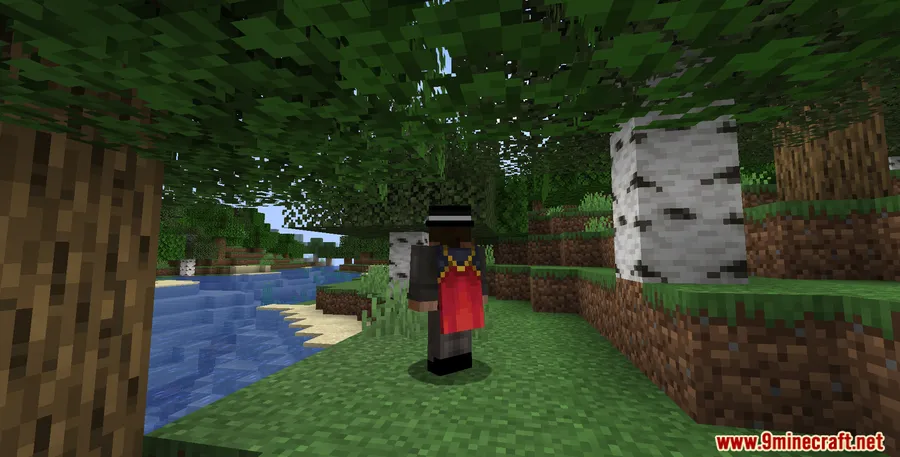 No Double Sneak Mod screenshot 7