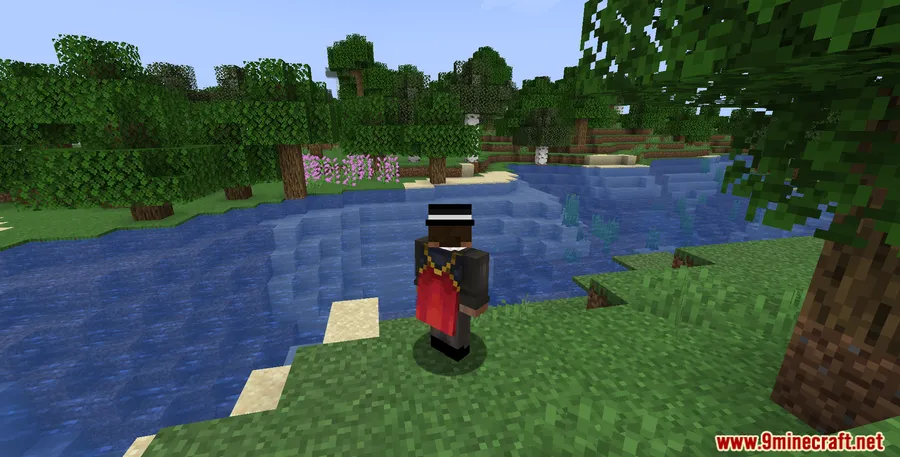 No Double Sneak Mod screenshot 8