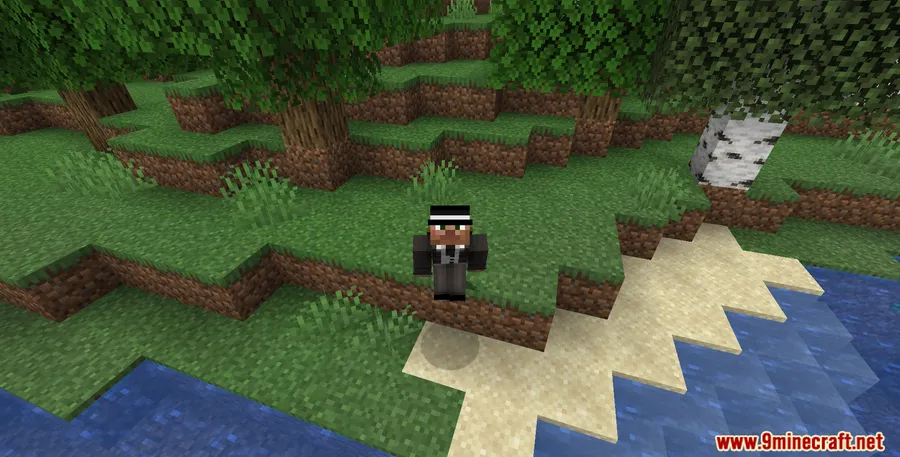 No Double Sneak Mod screenshot 9