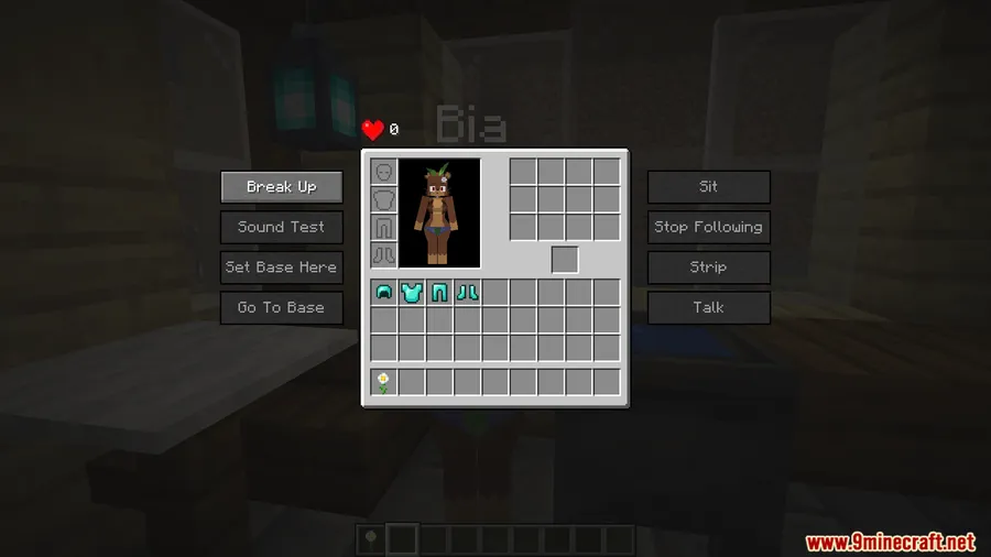 PleasureCraft Mod screenshot 9 showing mod in action