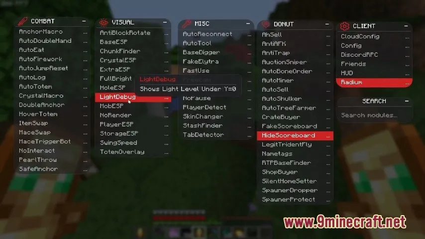 Radium Client Mod screenshot 1