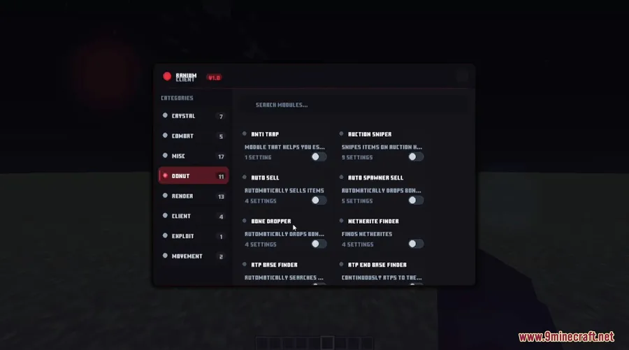 Ranium Client Mod screenshot 4 showing mod in action