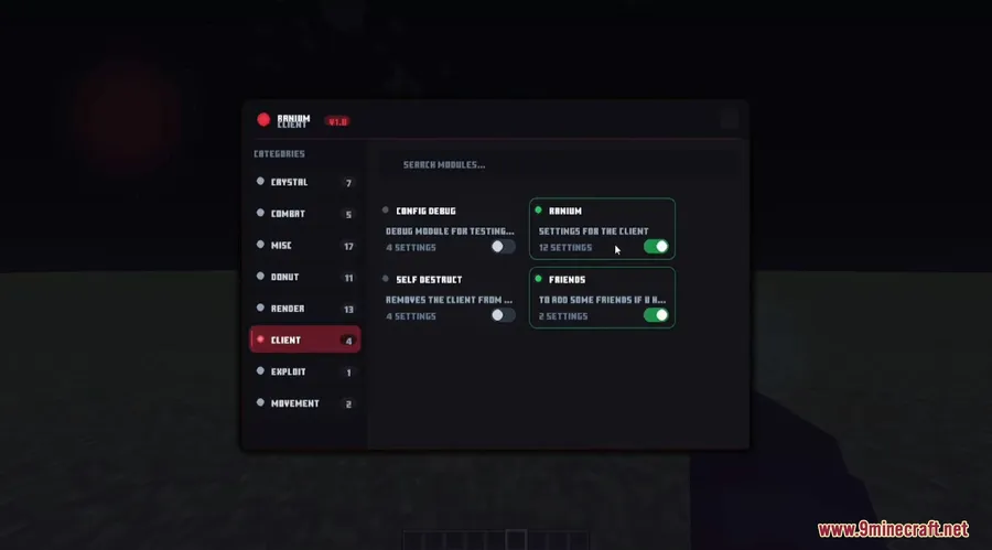 Ranium Client Mod screenshot 6 showing mod in action