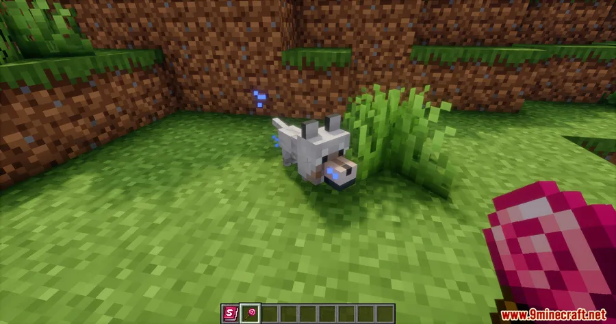 Squish Mod screenshot 12