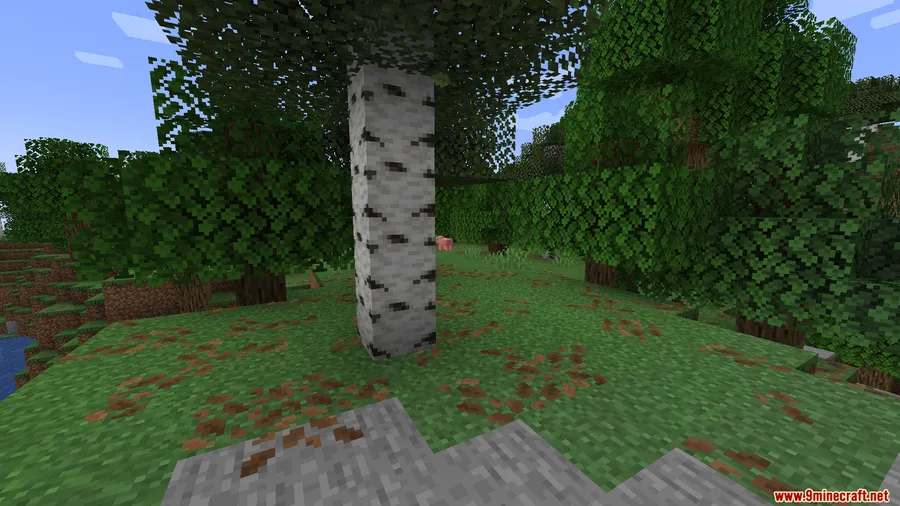 Super Fast Math Mod screenshot 7 showing mod in action