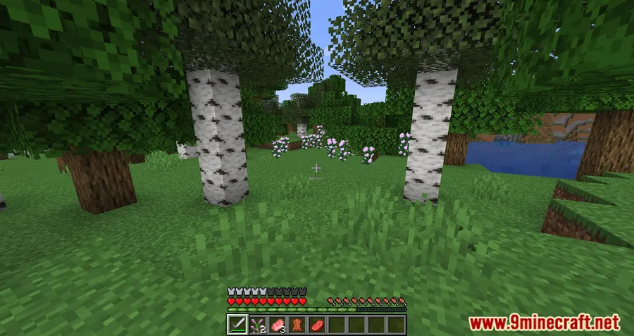 SwingThrough Mod screenshot 6