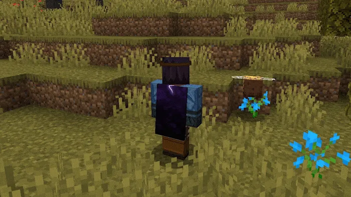 TL Skin and Cape Mod screenshot 2