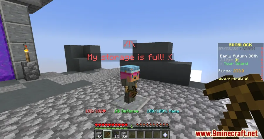 Time Changer Mod screenshot 5