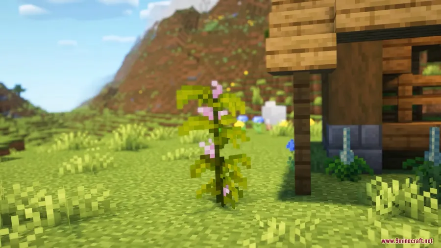 Tonic and Wild Medicine Mod screenshot 2