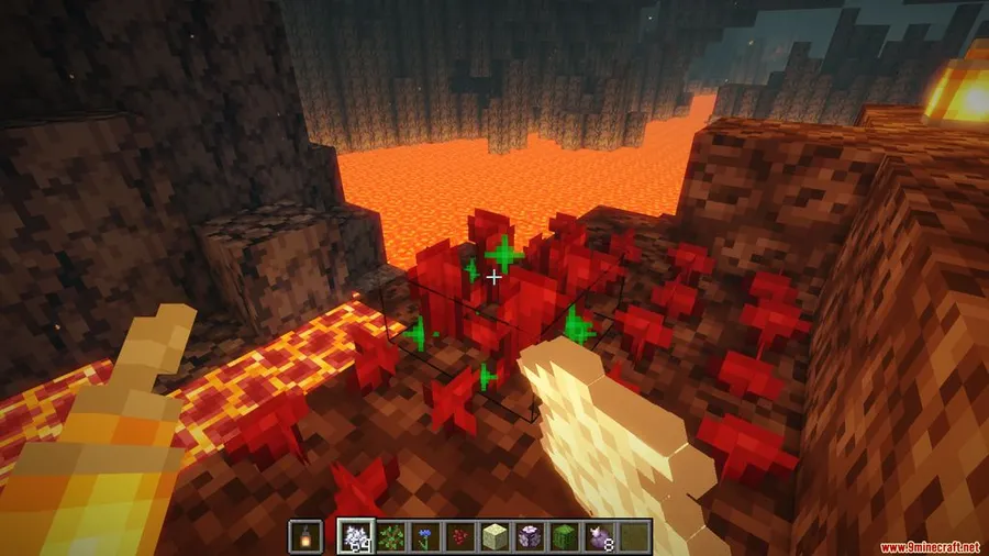 Universal Bone Meal Mod screenshot 3 showing mod in action