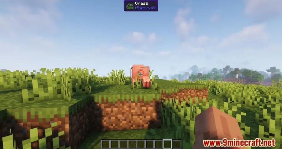 WTHIT Mod screenshot 2 showing mod in action