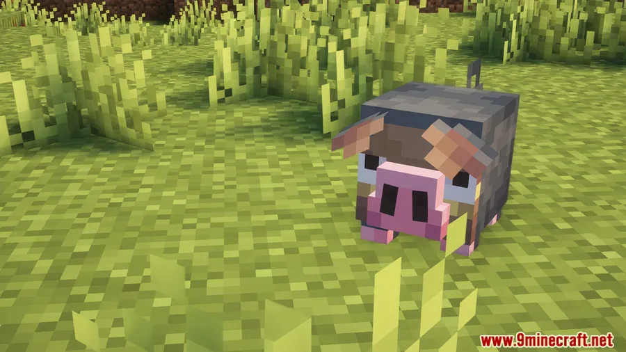 Cobblemon: PlayerXP Mod screenshot 14 showing mod in action