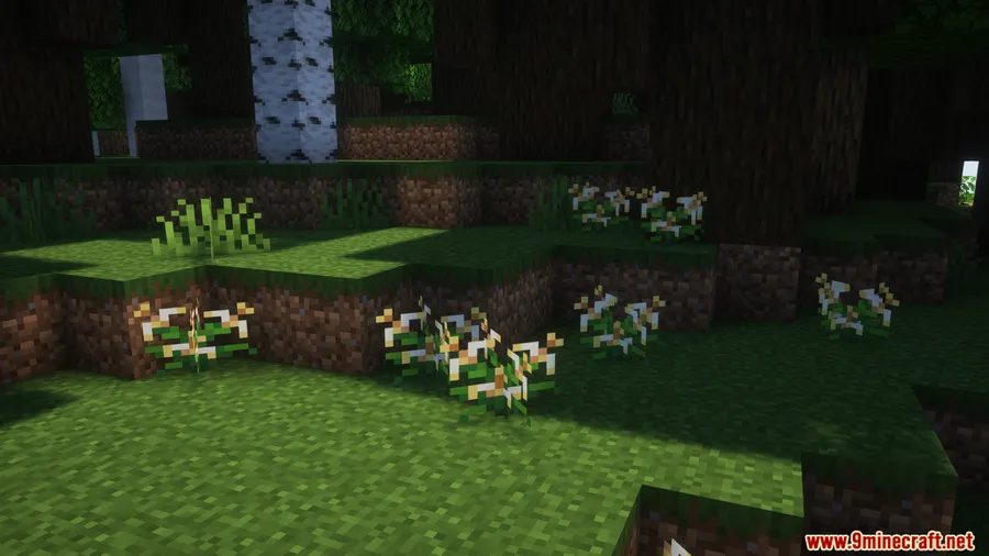 Bountiful Fares Mod screenshot 14 showing mod in action