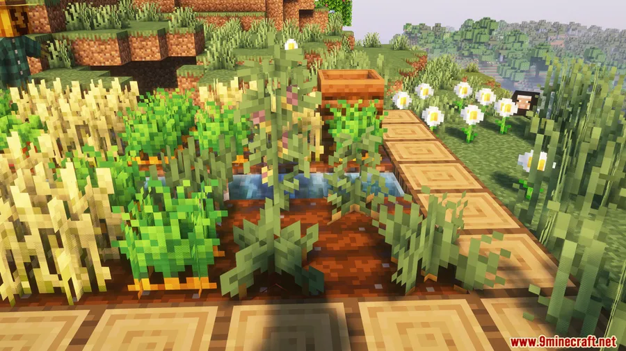 Bountiful Fares Mod screenshot 21 showing mod in action