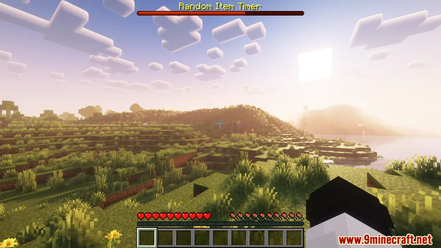 Random Item Mod screenshot 3