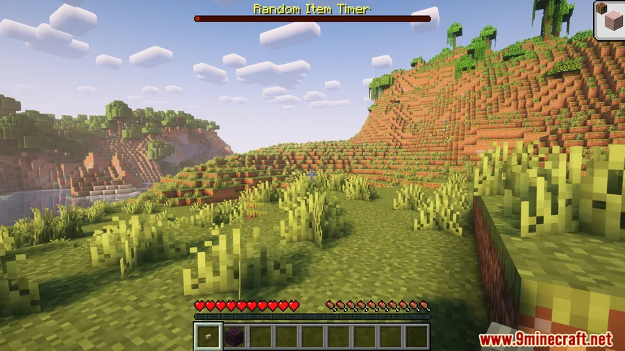 Random Item Mod screenshot 4