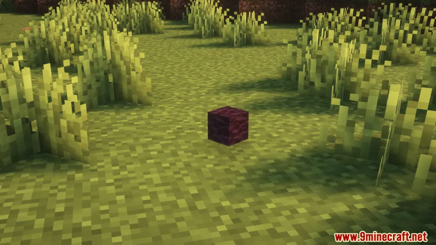 Random Item Mod screenshot 7