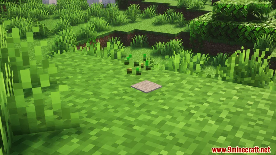 Random Item Mod screenshot 6