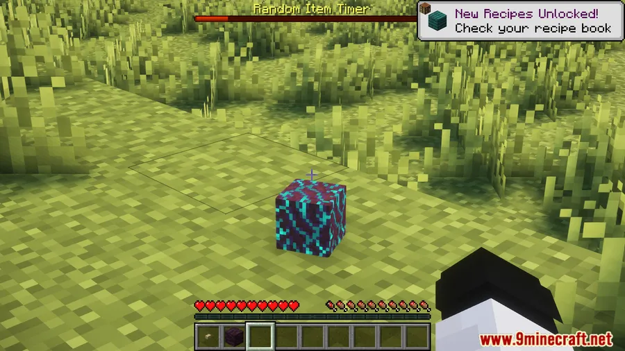 Random Item Mod screenshot 5