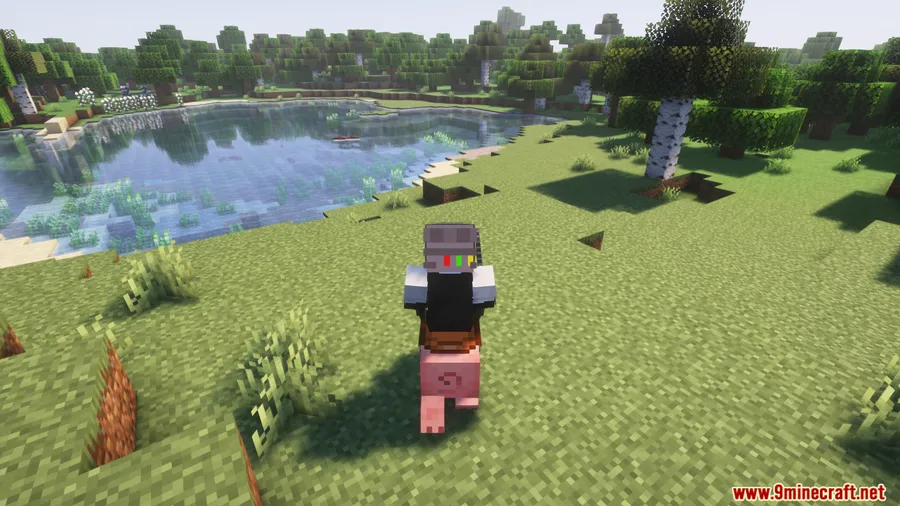 Riding Mouse Fix Mod screenshot 10