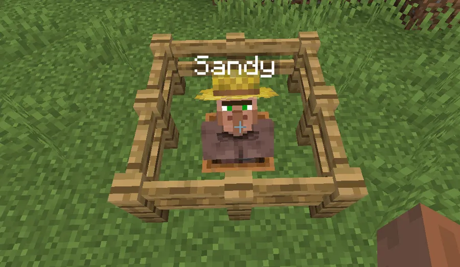 Villager Names Mod (26.1) Screenshot
