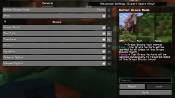 BetterGrassify Mod (1.21.11) Screenshot