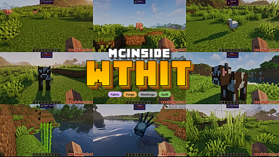 WTHIT Mod for Minecraft