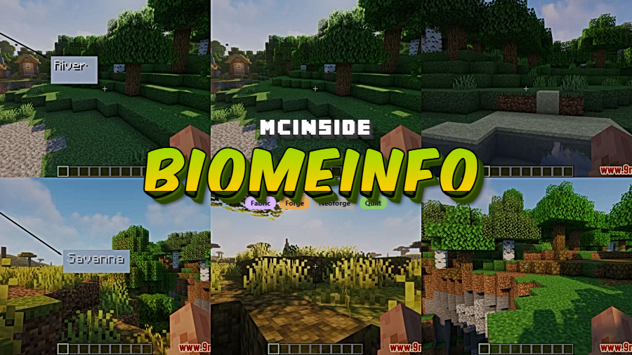 BiomeInfo Mod for Minecraft