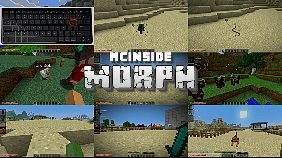 Morph Mod for Minecraft