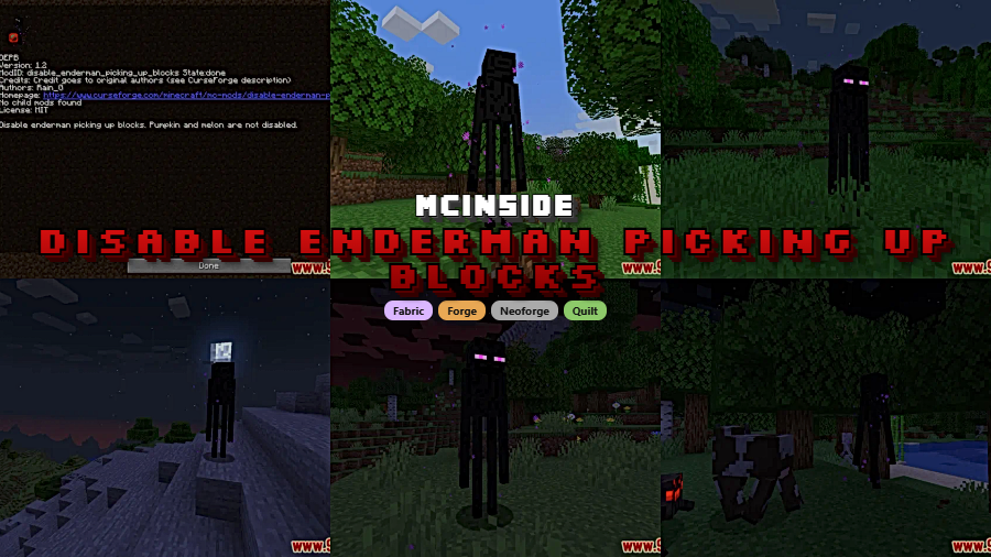 Disable Enderman Picking Up Blocks Mod for Minecraft