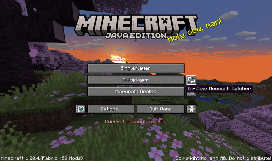 In-Game Account Switcher Mod (1.21.11) Screenshot