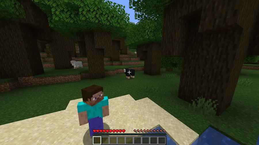 Leawind's Third Person Mod (1.21.11) Screenshot