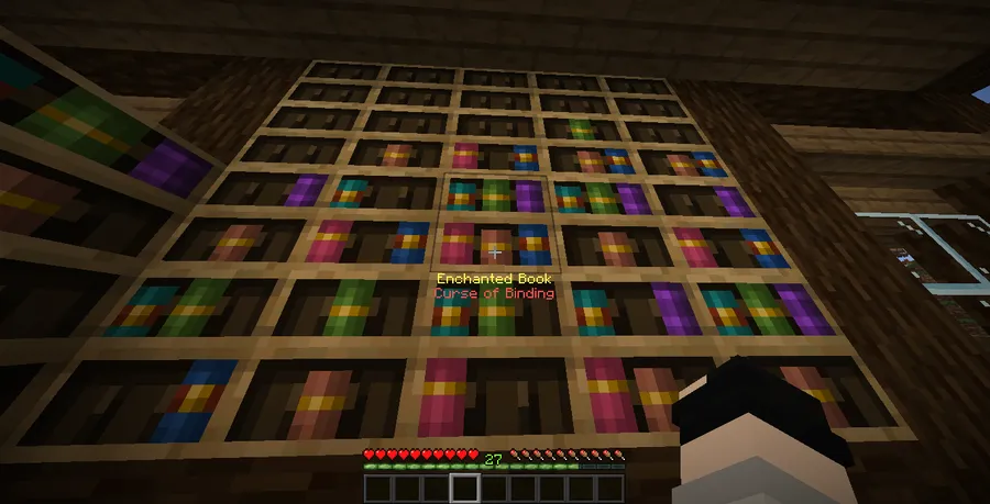 Chiseled Bookshelf Visualizer Mod (1.21.8) Screenshot