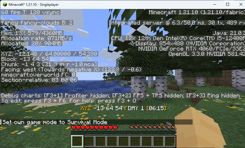 Day Counter (Original) for 1.16 - 1.21.10! Mod (1.21.10) Screenshot