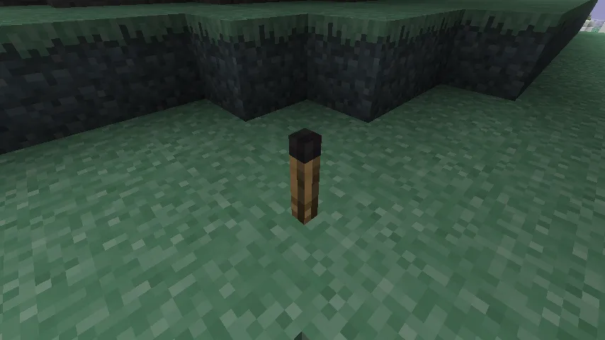 Aether Addon: Enhanced Extinguishing Mod (1.21.1) Screenshot